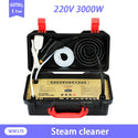 110V 220V Household Electric Steam Cleaner 3000W High Temperature