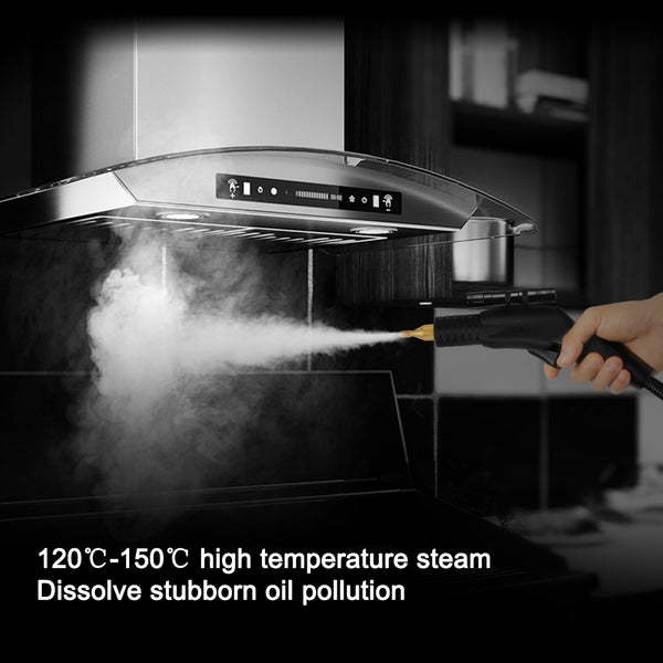 110V 220V Household Electric Steam Cleaner 3000W High Temperature