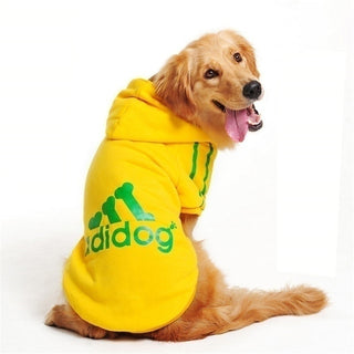 Buy yellow Adidog Sport Hoodies