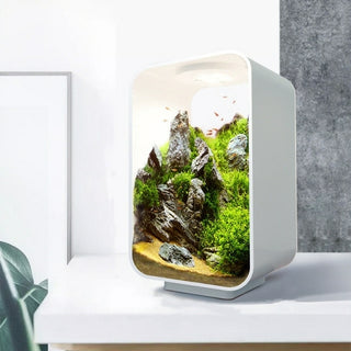 Buy type-b Aquariums Desktop Smart Betta Fish Tank