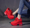 Ulzzang Fashion Platform Sneakers