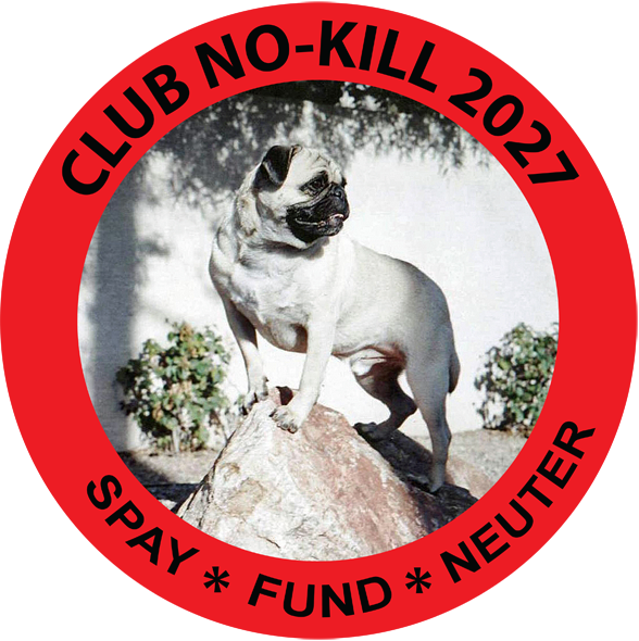 New Orleans Club No-Kill Hoodie #5